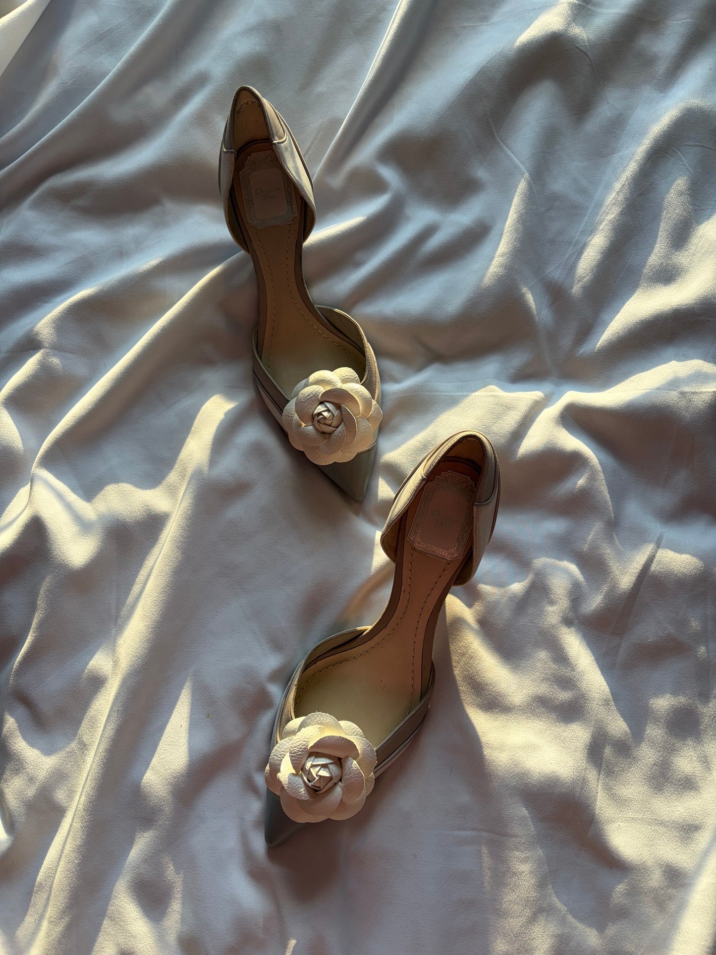 DIOR | US 7