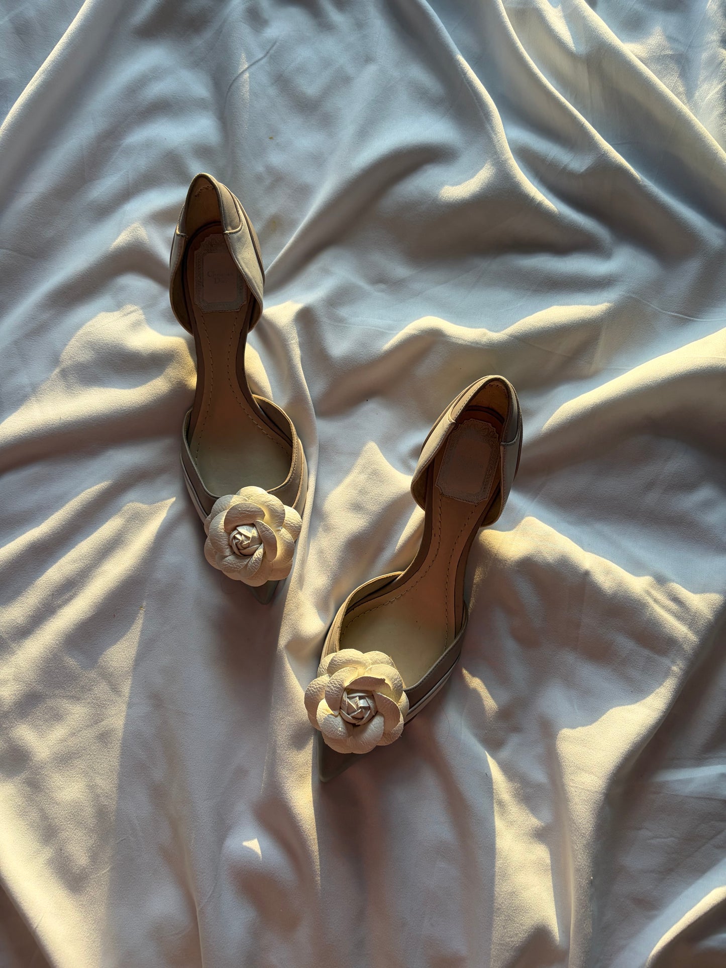 DIOR | US 7