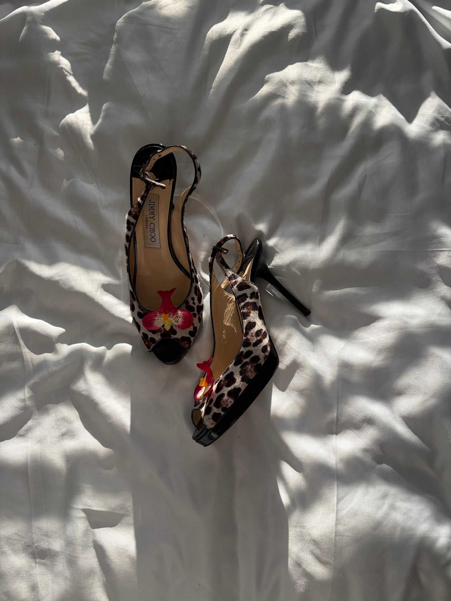 JIMMY CHOO | US 6