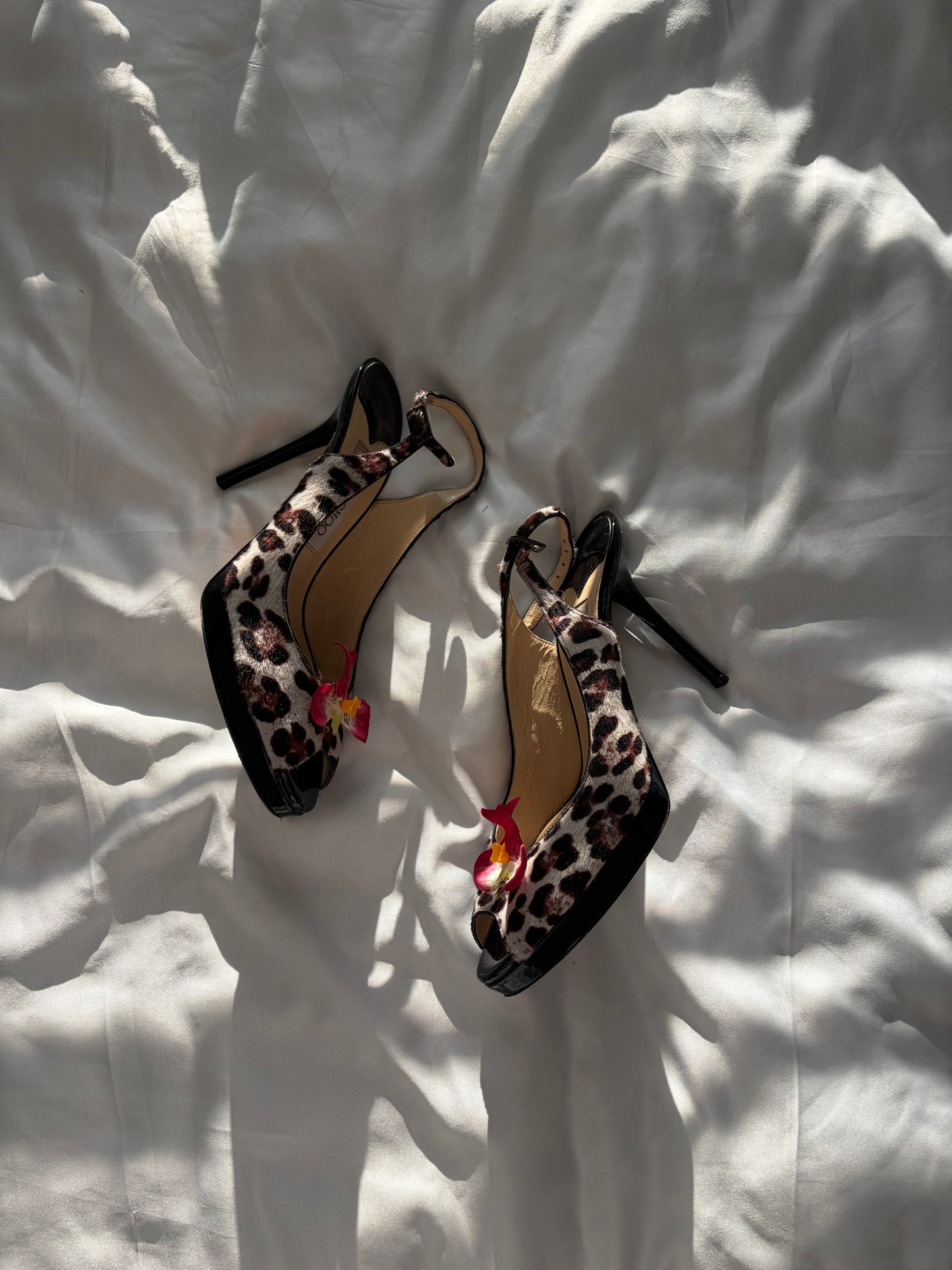 JIMMY CHOO | US 6