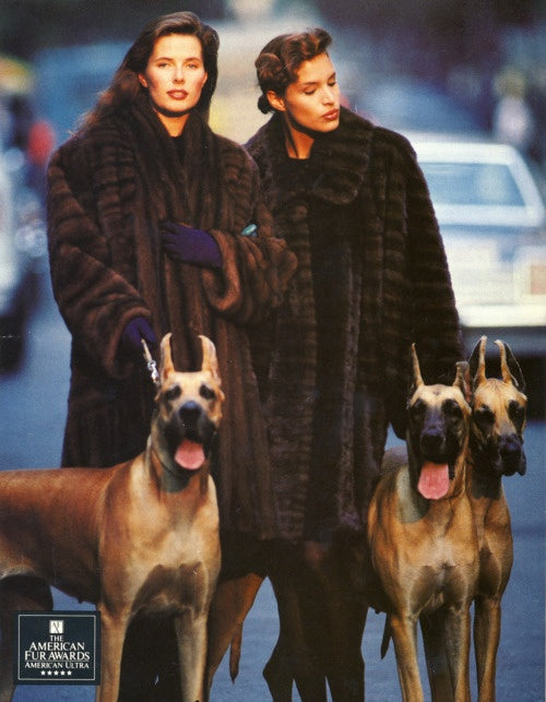the iris | custom fur